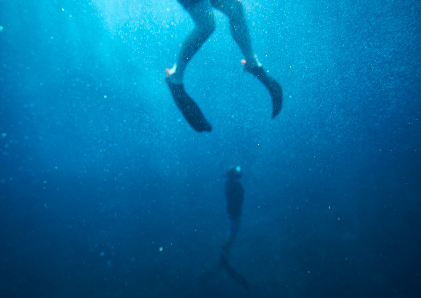 Two diver emerge from the water to the surface.